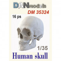 Accessories for dioramas. Human skull, 16 pcs