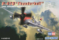 P-47D THUNDERBOLT