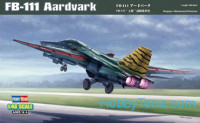 FB-111 Aardvark