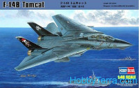 F-14B Tomcat