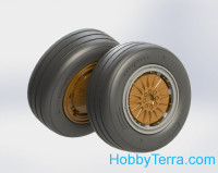 Wheels set 1/48 for F-4 C, D, E, F Phantom II No mask series