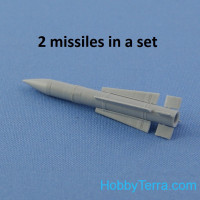 AIM-54 Phoenix missile  (2 pcs in the set, decal)