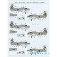 Skale Wings  VS001 Skyraider AD-5W attack aircraft