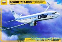 Civil airliner "Boeing 737-800"