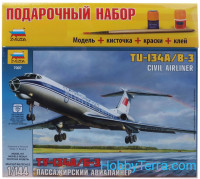 Model Set. Airliner Tu-134 A/B-3